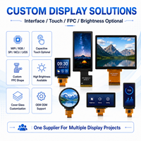 Módulo LCD Industrial de Bajo Consumo de 4.3, 4.6, 4.96 y 4.99 Pulgadas para Pantallas de Automóviles y Monitores Industriales con Soporte para Proyectos OEM