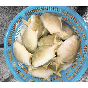 Pescado de Buena Calidad 300-400g, <span class=keywords><strong>Trachinotus</strong></span> <span class=keywords><strong>Ovatus</strong></span> Popular, Pescado Congelado, Pargo Dorado - Product Image 2