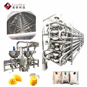 Otomatik Mango suyu işlemci Mango hamuru üretim makineleri tesisi işleme hattı düzeni ile