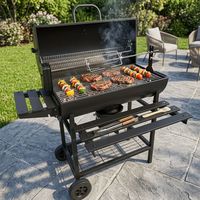 Barbecue au charbon de bois grande capacité avec rôtissoire et étagère latérale, barbecue d'extérieur sur roues, fumoir portable pour jardin