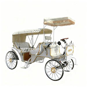 Calèche touristique rétro élégante, électrique ou à chevaux, calèche royale pour la visite des sites touristiques, à vendre - Product Image 2