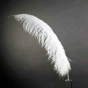 65CM 70CM Plumas Naturel Floral DIY Artisanat À La Main Long à Vendre Plumes s pour Mariage Décor À La Maison Stands Partie - Product Image 1