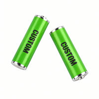 Batterie rechargeable AA Ni-MH 2500mAh 1.2V, cellule cylindrique pour télécommandes, électronique grand public, jouets, CE ROHS