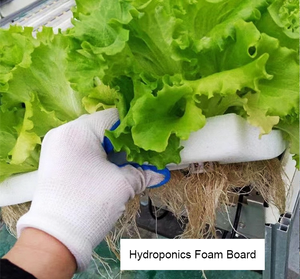 แผ่นโฟมลอยน้ำสำหรับปลูกผักกาดในฟาร์ม - Product Image 4