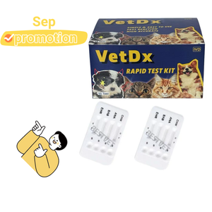 Prueba <span class=keywords><strong>de</strong></span> diagnóstico combinada CPV Ag/CCV Ag para perros, pruebas veterinarias <span class=keywords><strong>de</strong></span> heces, coronavirus canino + Parvovirus Ag - Product Image 2