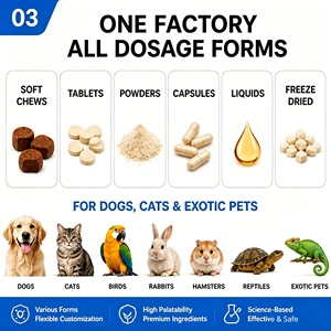 OEM ODM Friandises à mâcher pour chats saveur poulet, supplément d'<span class=keywords><strong>huile</strong></span> <span class=keywords><strong>de</strong></span> <span class=keywords><strong>krill</strong></span> Oméga-3 anti-chute pour l'entretien <span class=keywords><strong>de</strong></span> la peau et du pelage des chats d'intérieur - Product Image 3
