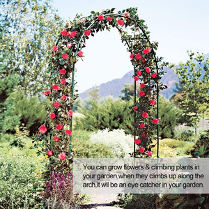 Décoration de fête porte d'escalade plante noire <span class=keywords><strong>arche</strong></span> de mariage Pergola jardin <span class=keywords><strong>arche</strong></span> de Rose <span class=keywords><strong>en</strong></span> métal - Product Image 6