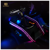 Système d'éclairage d'ambiance pour voiture Raize, modes de couleur dynamiques, options de fonctionnalités avec capteur musical pour les distributeurs