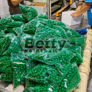 Wholesale Outdoor Training Grade Custom Colorful Eco Friendly Inflatable Gelatin <b>Shooting</b> 0.68/0.5/0.43 Caliber Paintball - Product Image 6