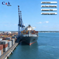 Professioneller See-Luft-Multimodaler Transport Speditionsservice China nach Türkei Israel Jordanien Libanon Ägypten Tür-zu-Tür