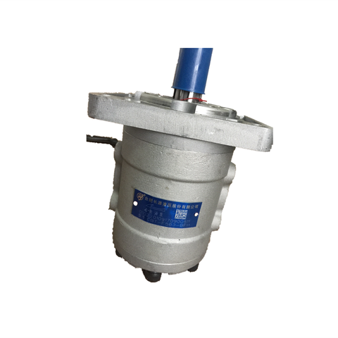 Fuxin a Large Number CBF-E40ALP CBF-E40P CBF-E25P CBF-E40-ALP CBF-E16-ALH CBF-E25-ALP Hydraulic Gear Pump with Good Price