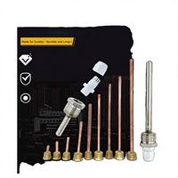 Capteur de température solaire pour chauffe-eau, protection PT100, acier inoxydable, anti-corrosion, tuyauterie de réservoir en laiton, tube aveugle 4/6