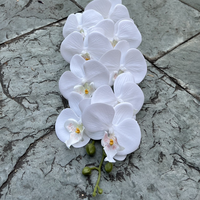 Orchidées en latex de qualité supérieure, 9 têtes, orchidée blanche, toucher réaliste, Phalaenopsis