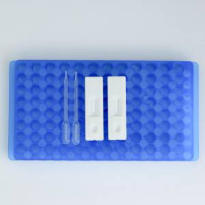 Bandelette de <span class=keywords><strong>test</strong></span> rapide d'anticorps contre la morve | détection de Burkholderia mallei | 50 tests/kit - Product Image 6