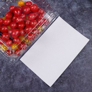 Almohadilla Absorbente Desechable para Carne y Fruta Frescas, para Almacenamiento de Alimentos Frescos en Restaurantes - Product Image 2