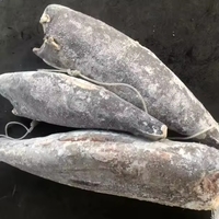 Poisson blanc entier de haute qualité 100% surgelé, poisson gras brut éviscéré et nettoyé de haute mer, IQF, emballé sous vide, exportation de Singapour, fournisseur en gros