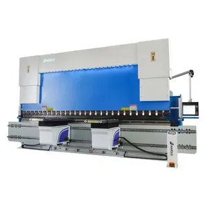 Nuovo Trend CNC 500Ton 6000MM presse idrauliche personalizzate con DA66T Controller per piastra metallica