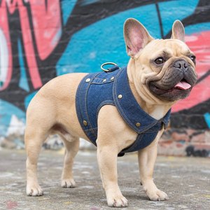 Arnés de Corduroy Estilo Vaquero para Perros Pequeños, Medianos y Grandes, Acolchado Suave, Antiescape, Accesorios Duraderos para Perros, Venta al por Mayor - Product Image 1