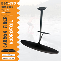 En vente BSC970 Hydrofoil aile avant feuille de carbone abordable feuille Kit Wingfoil SUP pompage débutant convivial lumière surf