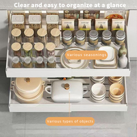 Promotion : Organisateur de placard extensible et coulissant, pliable, en acier au carbone, pour conteneurs alimentaires, tiroirs coulissants de cuisine, rangement sous évier et domestique
