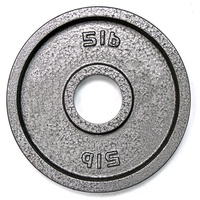 Plaque de poids Standard en fonte revêtu, plastique robuste, gris