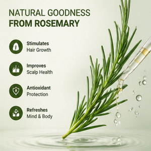 <span class=keywords><strong>Huile</strong></span> <span class=keywords><strong>Essentielle</strong></span> de Romarin Pure et Naturelle de Qualité Cosmétique, Biologique, à l'Odeur Fraîche, pour Soins Capillaires Quotidiens, Hydratante et Nourrissante - Product Image 2