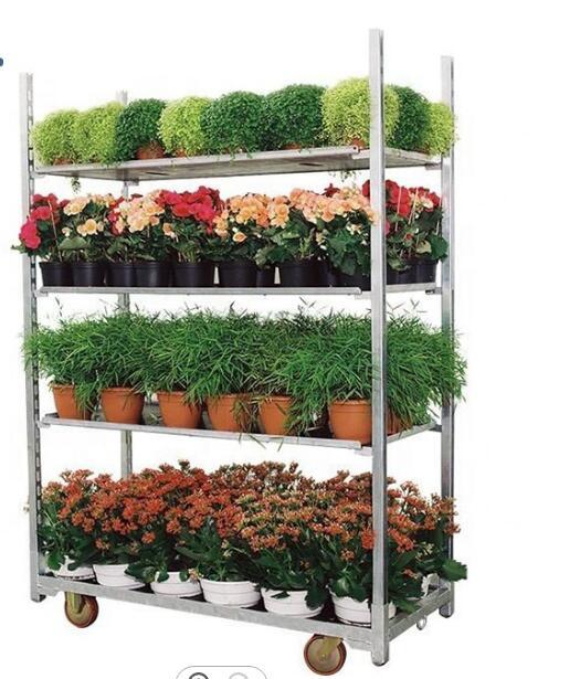 Removable Metal Steel Danish Nursery Flower Warehouse Garden Rolling Plant Rack Trolley Carts