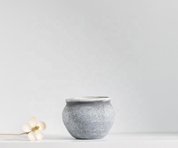 Pot de plante en argile coloré, mini-pots pour plantes, décoration d'intérieur, pot pour cactus