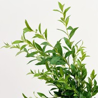 Tanaman Buatan, Salju Willow, Cabang dan Daun Kecil, Daun Karet Lembut, Aksesoris Rangkaian Bunga, Seni Bunga Pernikahan