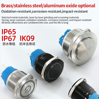 Saklar Tombol Tekan Produsen, Tipe Momentary Latching 12mm 16mm 19mm 22mm 25mm 30mm 40mm, Saklar Tombol Tekan LED