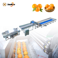 Laveuse industrielle de grande capacité pour pommes, abricots et oranges – Machine à laver les fruits à bulles