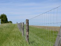 Clôture de bétail anti-corrosion en treillis métallique galvanisé à chaud pour la sécurité du bétail