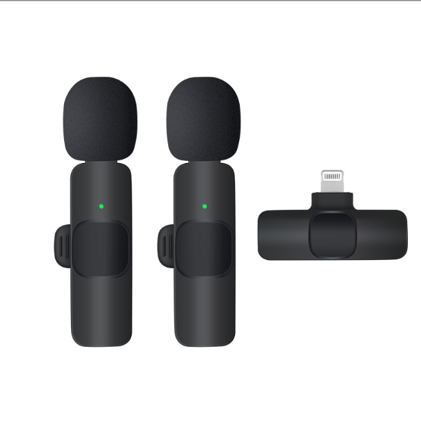 Factory Bulk Price Living Show Wireless 5.0 Lavalier Type-C Microphone with Adjustable Voice for iPhone Dual Model