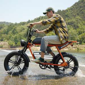 Bicicletta Elettrica Fuoristrada Importata con Doppia Sospensione, Ruote Grandi da 20 Pollici, Stile Vintage, Due Posti, Prodotta in Cina - Product Image 3