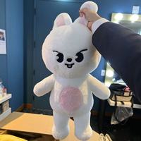 Vente en gros d'usine : Peluche animale de dessin animé mignonne, figurine en peluche douce, jouet de collection pour fans, cadeau pour les fans de K-pop