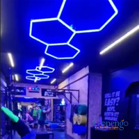 Super Bright Diy Assemblé 12V Hexagone Rgb Économie D'énergie Led Stage Light pour Discothèque Boutique