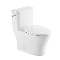 WC monobloc en céramique blanc CUPC à poser au sol, avec système de chasse double (1,1/1,6 GPF), écologique, pour salle de bain