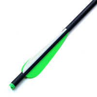Ensemble de flèches créatives pour arbalète de chasse en carbone, mini 16" 20", avec pointes en acier et ailettes en plastique