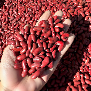 Frijoles Rojos Naturales Orgánicos Crudos con Alto Contenido de Proteínas para Dietas Vegetarianas y Preparación de Comidas a Base de Plantas - Product Image 2