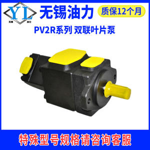 Pompe hydraulique à palettes PV2R11/12/13/23/21/31/32/34-85/75/70/65/59/53/31 - Catégorie de produit - Product Image 5