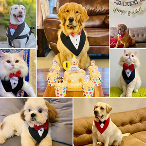 Wholesale Premium Cotton <b>Dog</b> Tuxedo Bandana Adjustable Formal Pet Wedding Bandana <b>Collar</b> for Small Medium <b>Large</b> <b>Dogs</b> Grooming - Product Image 6