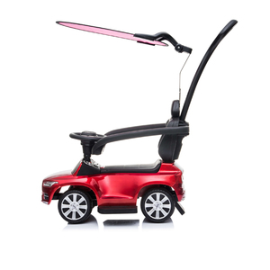 Coches de empuje para niños, con mango y Capon - Product Image 2