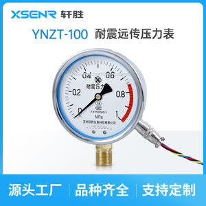 ซูโจว ซวนเฉิง YNTZ100 เกจวัดแรงดันแบบทนแรงกระแทก 100 มม. สแตนเลสสตีล เกลียวเกลียว ความแม่นยำ 1.6 เกจวัดแบบดิจิตอล - Product Image 3