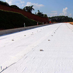 Géotextile non tissé en fibres de polypropylène aiguilletées Born Industrial, solution de drainage, garantie 5+ ans pour les barrages et les jardins - Product Image 4