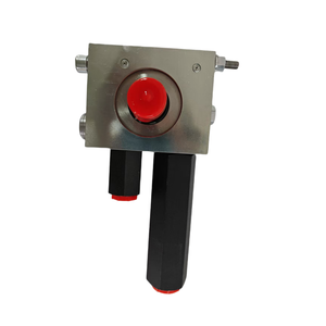 Válvula hidráulica Válvula de equilibrio de retención de carga Válvula de equilibrio <span class=keywords><strong>440</strong></span>/Válvula de equilibrio LHDV33P LHDV Venta caliente - Product Image 2