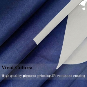 Bandera de la Campaña 'Take America Back' 2024, 100% Poliéster, 3x5 pies, Personalizada, 'Enough Is Enough', para las Elecciones Presidenciales, Alta Calidad, Precio Económico - Product Image 4