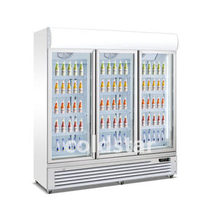 Congélateur vertical à porte battante / Congélateurs commerciaux à porte vitrée / Réfrigérateur vertical de classe C pour boissons - Product Image 4