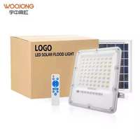 Reflector LED Solar para Exteriores de Alta Calidad IP66 con Cuerpo de Aluminio, 30W-300W, Lámpara Solar LED para Iluminación de Parques Infantiles