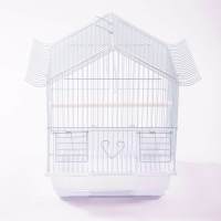 Cages à oiseaux en gros d'usine perruche en métal volière Cages pour animaux de compagnie fil de fer durable perroquet canari Cages à oiseaux à vendre oiseaux