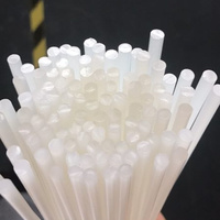 Tige en nylon de petit diamètre (1 mm, 2 mm, 3 mm) avec couleur personnalisée et options sur mesure